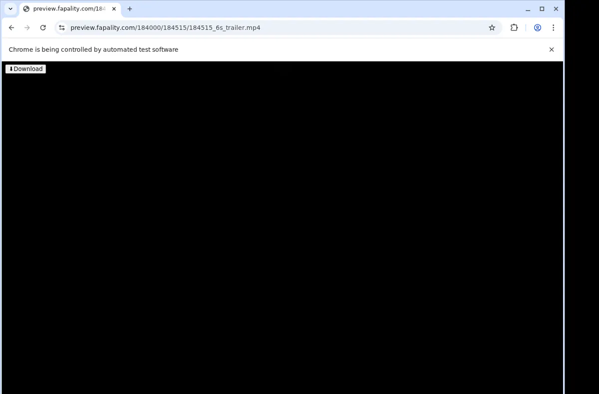 Fapality Video Downloader browser extension screenshot 3